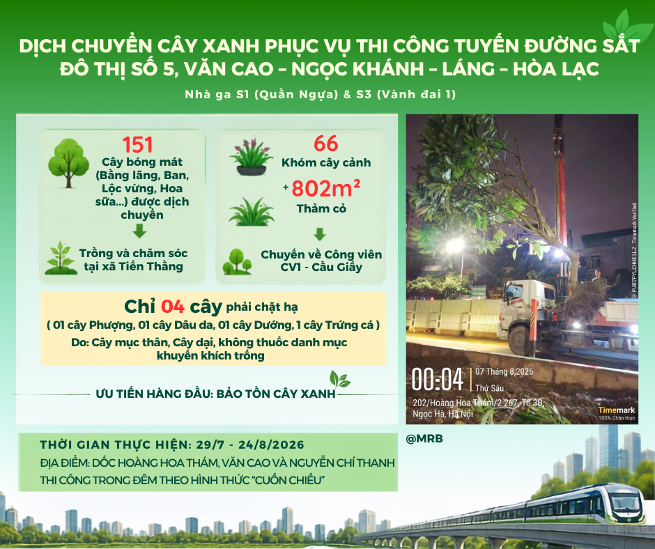 DỊCH CHUYỂN CÂY XANH PHỤC VỤ THI CÔNG TUYẾN ĐƯỜNG SẮT ĐÔ THỊ SỐ 5, VĂN CAO – NGỌC KHÁNH – LÁNG – HÒA LẠC